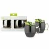 Mule Mug Stainless Steel, Black and Gold, Holds 16 oz. Cocktail Drinkware (Set of 2) by True