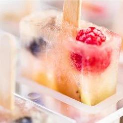 White Frozen Ice Pop Maker 10-Popsicle by Fox Run -Bar Accessories Sales fox run ice trays 50302 76 1000